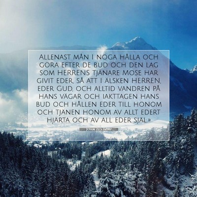 Josua 22:5 SV1917 Bild av bibelvers