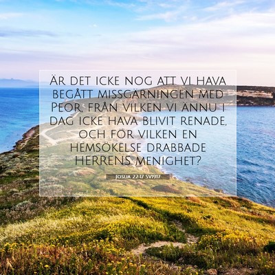 Josua 22:17 SV1917 Bild av bibelvers