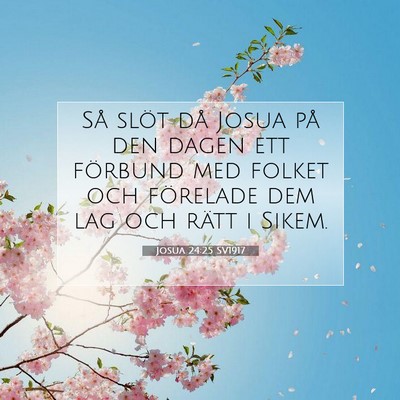 Josua 24:25 SV1917 Bild av bibelvers
