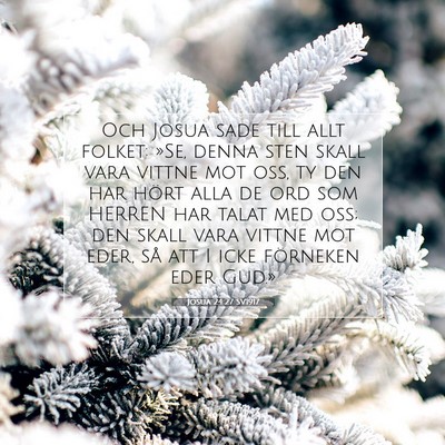 Josua 24:27 SV1917 Bild av bibelvers