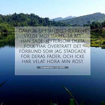 Domarboken 2:20 SV1917 Bild av bibelvers