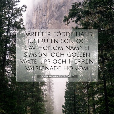 Domarboken 13:24 SV1917 Bild av bibelvers