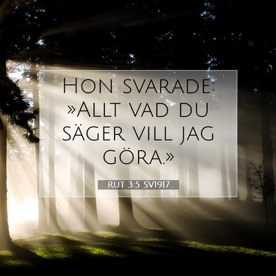 Rut 3:5 Bibelvers Förklarad