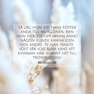 Rut 3:14 Bibelvers Förklarad