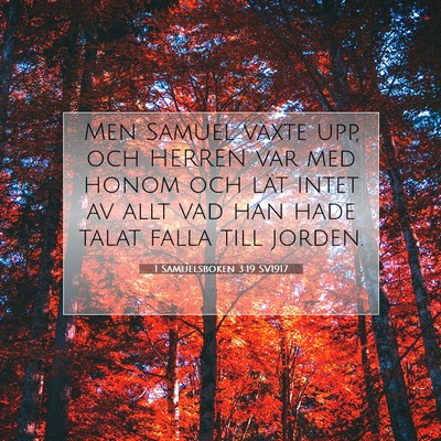 1 Samuelsboken 3:19 Bibelvers Förklarad