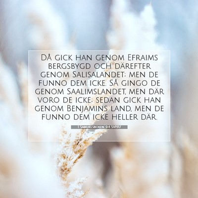 1 Samuelsboken 9:4 Bibelvers Förklarad