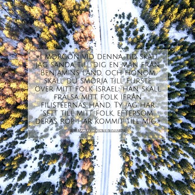 1 Samuelsboken 9:16 SV1917 Bild av bibelvers