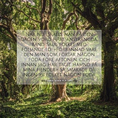 1 Samuelsboken 14:24 Bibelvers Förklarad