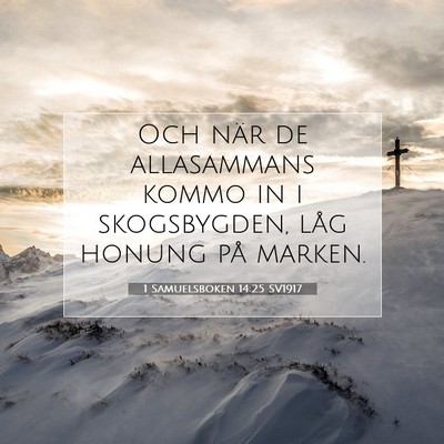 1 Samuelsboken 14:25 Bibelvers Förklarad