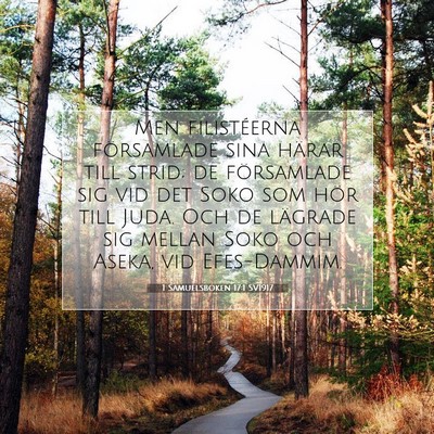 1 Samuelsboken 17:1 SV1917 Bild av bibelvers