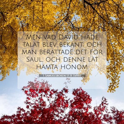 1 Samuelsboken 17:31 Bibelvers Förklarad