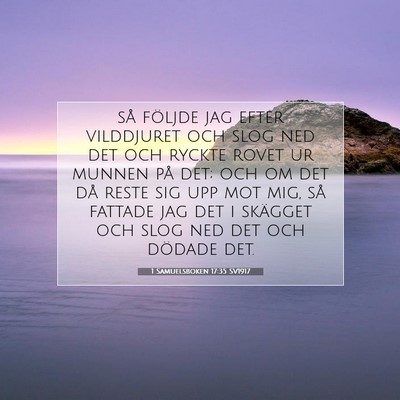 1 Samuelsboken 17:35 Bibelvers Förklarad