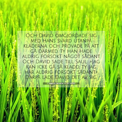 1 Samuelsboken 17:39 Bibelvers Förklarad
