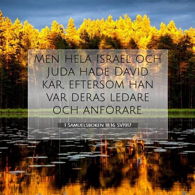 1 Samuelsboken 18:16 Bibelvers Förklarad