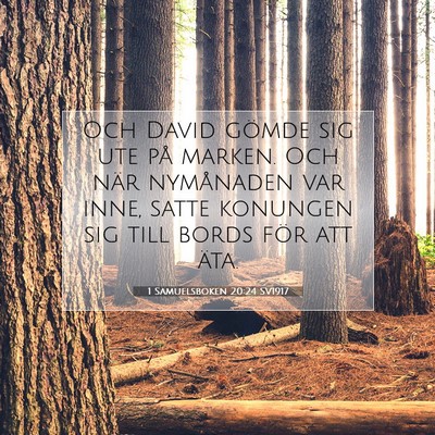 1 Samuelsboken 20:24 Bibelvers Förklarad