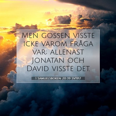 1 Samuelsboken 20:39 Bibelvers Förklarad