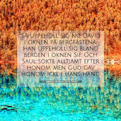 1 Samuelsboken 23:14 Bibelvers Förklarad