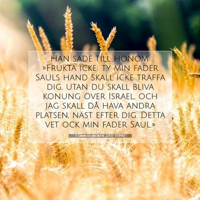 1 Samuelsboken 23:17 SV1917 Bild av bibelvers