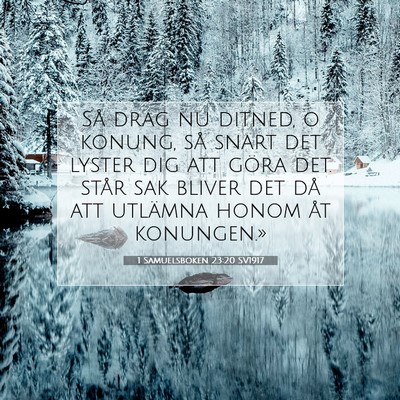 1 Samuelsboken 23:20 Bibelvers Förklarad