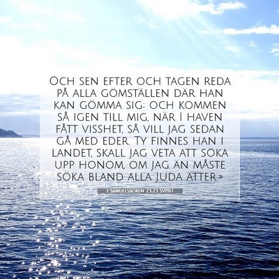 1 Samuelsboken 23:23 SV1917 Bild av bibelvers