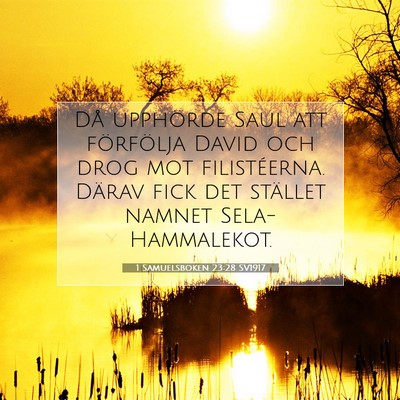 1 Samuelsboken 23:28 SV1917 Bild av bibelvers