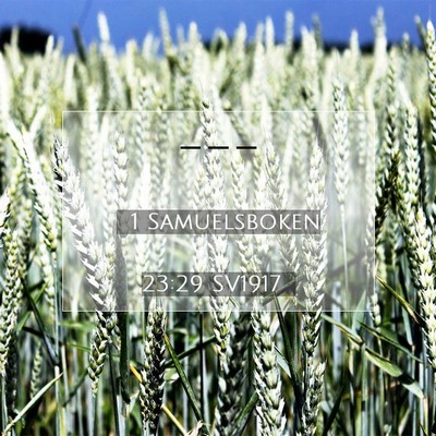 1 Samuelsboken 23:29 Bibelvers Förklarad