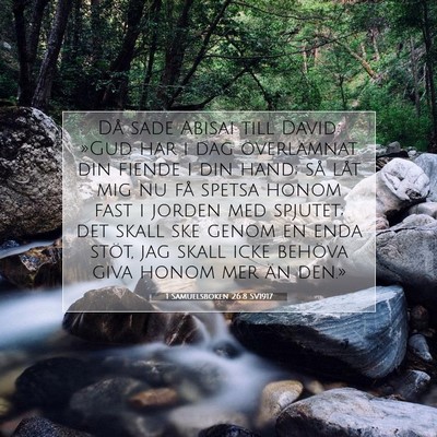 1 Samuelsboken 26:8 Bibelvers Förklarad