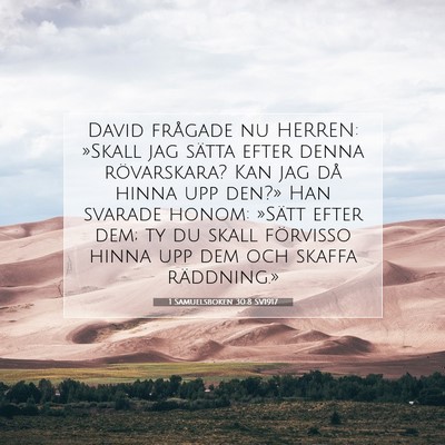 1 Samuelsboken 30:8 SV1917 Bild av bibelvers
