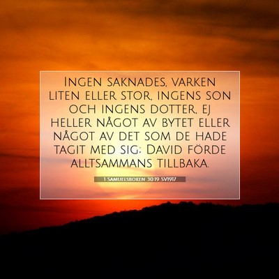1 Samuelsboken 30:19 SV1917 Bild av bibelvers