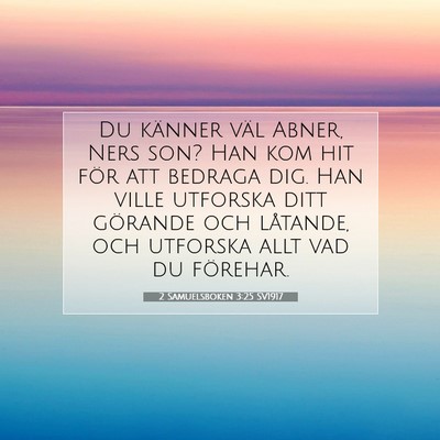 2 Samuelsboken 3:25 Bibelvers Förklarad