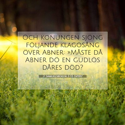 2 Samuelsboken 3:33 Bibelvers Förklarad