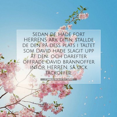 2 Samuelsboken 6:17 SV1917 Bild av bibelvers