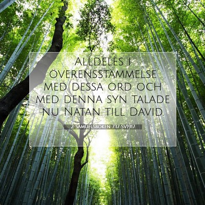 2 Samuelsboken 7:17 SV1917 Bild av bibelvers