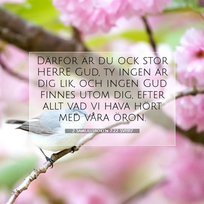 2 Samuelsboken 7:22 Bibelvers Förklarad