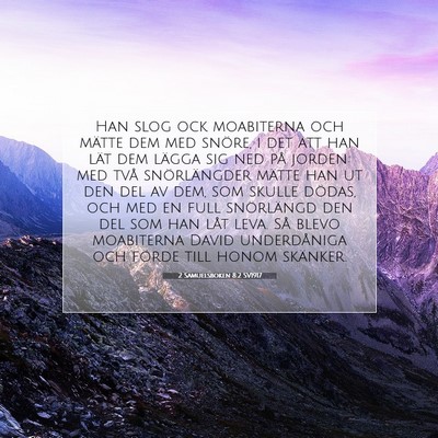 2 Samuelsboken 8:2 SV1917 Bild av bibelvers