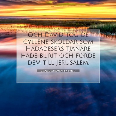 2 Samuelsboken 8:7 Bibelvers Förklarad