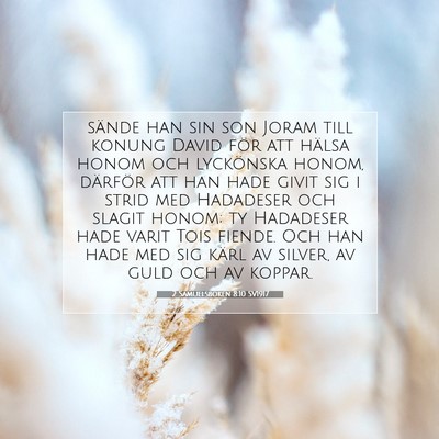 2 Samuelsboken 8:10 SV1917 Bild av bibelvers