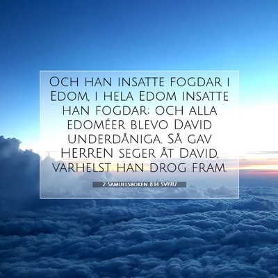 2 Samuelsboken 8:14 SV1917 Bild av bibelvers