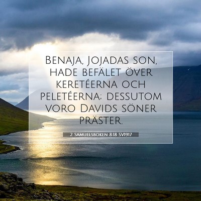 2 Samuelsboken 8:18 SV1917 Bild av bibelvers