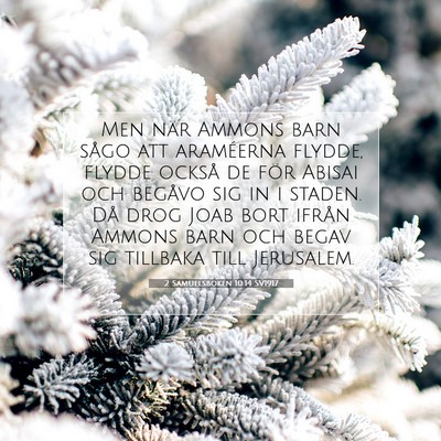 2 Samuelsboken 10:14 Bibelvers Förklarad