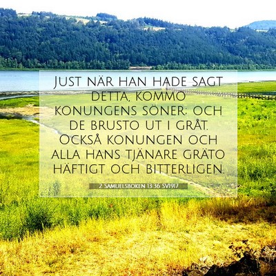 2 Samuelsboken 13:36 SV1917 Bild av bibelvers