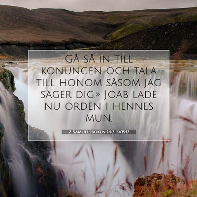 2 Samuelsboken 14:3 Bibelvers Förklarad
