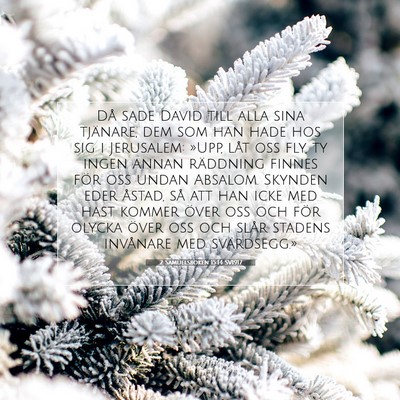 2 Samuelsboken 15:14 SV1917 Bild av bibelvers