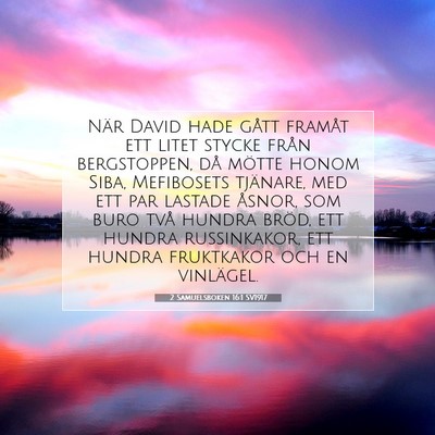 2 Samuelsboken 16:1 SV1917 Bild av bibelvers