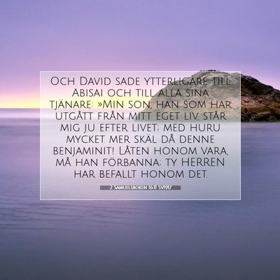 2 Samuelsboken 16:11 SV1917 Bild av bibelvers