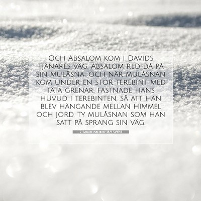 2 Samuelsboken 18:9 Bibelvers Förklarad