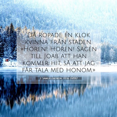 2 Samuelsboken 20:16 Bibelvers Förklarad