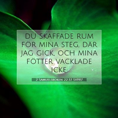 2 Samuelsboken 22:37 SV1917 Bild av bibelvers