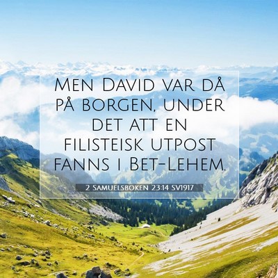 2 Samuelsboken 23:14 Bibelvers Förklarad