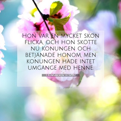 1 Kungaboken 1:4 Bibelvers Förklarad